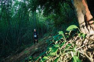 BIB: 
                            <button type="button" onclick="openModal(28124045)" class="btn btn-primary btn-sm float-right btn-popup" data-toggle="modal" data-target=".modal-high-quality">
                        <i class="fas fa-shopping-cart"></i> Add to Cart
                    </button>
                                            <button type="button" onclick="isThisMe(28124045, true)" class="btn btn-success btn-sm float-right btn-popup btn-isme hidden" data-toggle="tooltip" data-placement="bottom" title="นี่คือรูปของคุณใช่ไหม คลิกที่นี่เพื่อเอาเข้าอัลบั้ม">
                        <i class="fas fa-plus"></i> Add to album
                    </button>
                    <button type="button" onclick="isThisMe(28124045, false)" class="btn btn-warning btn-sm float-right btn-popup btn-isnotme hidden">
                        <i class="fas fa-ban"></i> Remove from album
                    </button>